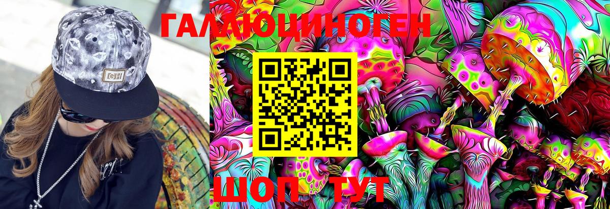 Галлюциногенные грибы Psilocybe Волгоград