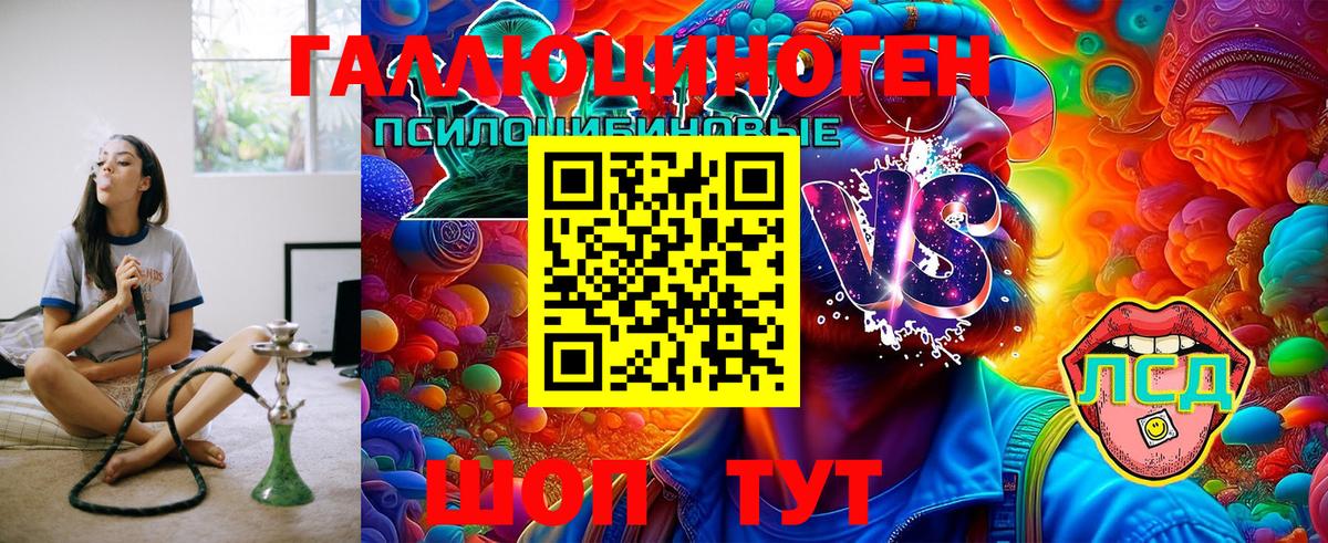 Псилоцибиновые грибы Psilocybe  Вход с VPN  Волгоград 